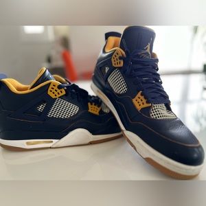 Jordan 4 Retro Dunk From Above